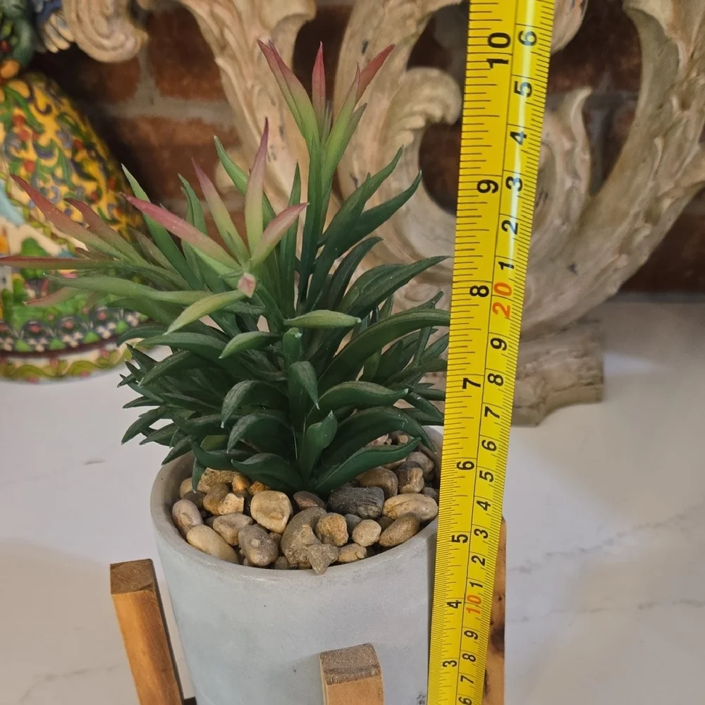 Modern Concrete Planter with Wooden Stand
